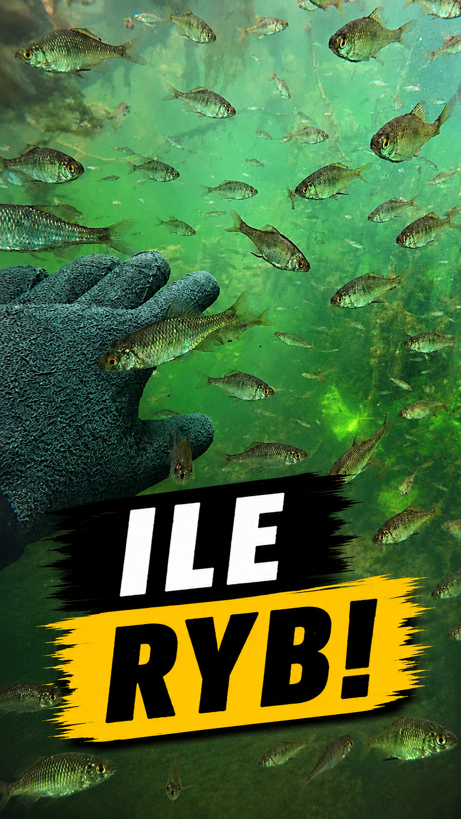 DIVING IN POLISH LAKES 3