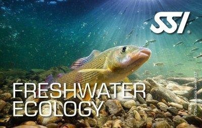 Freshwater Ecology – Ekologia Wód Słodkich